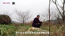 湖南永州人为什么萝卜不洗反而更好吃