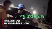 相约遛狗宠物趁主人不备发生关系 俩同事为“打胎费”大打出手