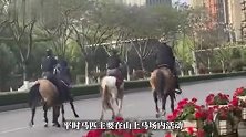 昆明街头4人并排“策马奔腾”，涉事马术俱乐部称“只是路过”，交警回应