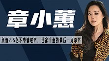 章小蕙：曾“买”垮2任亿万富豪，负债2.5亿，如今逆袭成带货