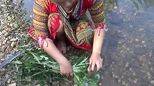 妹子在河边用草药抓鱼，不料途中睡着了，野人发现直接上去捡鱼