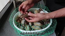 象鼻螺肥美的季节，海边人都在吃它，油炸一大盘，太下酒了
