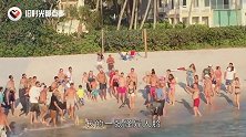 国外海滩发现奇怪“黑影”，人们作死下水探查，结果场面失控了