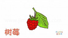 水果简笔画大全，画一颗漂亮的树莓简笔画