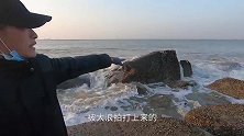 小川赶海撞好运，抓到值钱的“土怪鱼”，可以抵上半桶海鲜