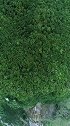 驾驶技术要过关，必须先行云贵川