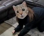美国：女子戴猫脸面具趴在地上，吓得两只宠物猫拔腿就跑