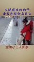 左腿残疾的狗子，却每天都会跑去迎接小主人回家！