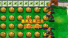 植物大战僵尸40：想靠高坚果过关，8排的高坚果，能成功吗？