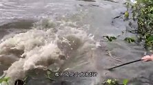 本以为是大鱼上钩了，没成想拉上一看，小伙顿时乐坏了！