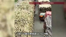 化州“最暖糖厂”已榨66712.9吨果蔗，仍有460台满载货车排队等候进场