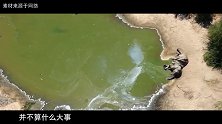 非洲350头大象集体死亡，死前诡异绕圈行走，死因或是未知病毒