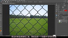 去除满屏的铁丝网，这个修图技巧你学会了没？简单且实用！