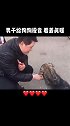男子给狗狗投食，这一幕看着真暖，为你的善良点个赞！