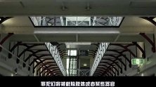 未来死刑被废除，实施了更残酷的刑罚，由被害人家属决定惩罚力度