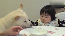 妈妈把宝宝的早餐分给狗狗吃，宝宝看到后的反应太逗了