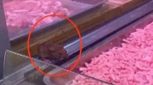 广西柳州：傻眼！老鼠大白天“逛”超市啃肉馅