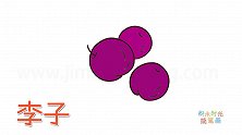 水果简笔画大全，画卡通李子简笔画