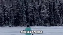后怕！女子在喀纳斯湖上奔跑突然坠湖：浮起来后艰难爬出来