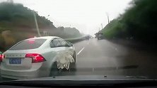 沃尔沃疯狂别车30秒，路怒症车主，用生命上演复仇记