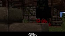 我的世界动画-欧若拉的天空