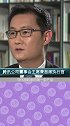 红色围巾的小企鹅