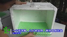 泡沫箱里放铁丝网，水泥铺进去，这样制作花盆成品好看，一起学下