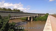 两排磁铁挤跑了一个小球？科普了磁悬浮列车原理后，可算明白了