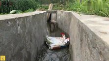 流浪狗掉进水渠出不来急的直叫，幸遇小哥搭救，狗狗有家了
