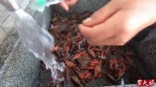 4斤麻辣小龙虾，做法真简单易学，一次吃过瘾，小孩子一点不怕辣