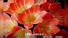 不管养什么花,在花盆里撒一把“它”,花就会蹭蹭冒新芽长满盆