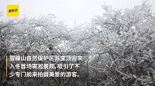 千米雪峰现雾凇，雾气缭绕如同仙境
