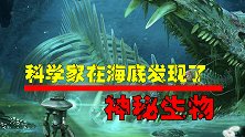 海底发现深层生物圈，总重230亿吨的微生物，它们以什么为生？