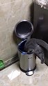 这猫咪天天翻垃圾桶