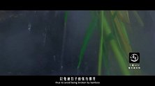 20170621-姜太公钓鱼重现江湖，这次收获颇多！-看鉴地理
