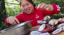 胖妹嘴馋吃扇贝，120元买5斤搞新吃法，满满一大盘真过瘾