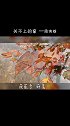 风起叶落，以一颗沉稳的心，默看世态炎凉…