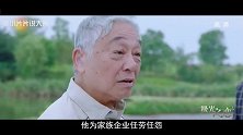 极光之恋 2017第一雷剧