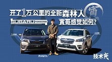 不再6秒破百的全新斯巴鲁森林人 还值得推荐吗？