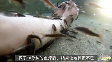 女子趁老板不注意，做了10分钟的鱼疗，结果令她不知所措！
