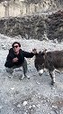 自驾西藏，下了怒江72拐，这边特有的长不大的小驴，很可爱