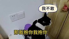 养猫千日用猫一时、铲屎官抱着猫咪抓蚊子、可猫咪胆子太小了