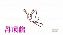 动物简笔画大全，画展翅翱翔的丹顶鹤简笔画