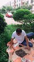 妈呀，这是个什么玩意儿啊？