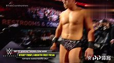 WWE中国-20190408-2019摔跤狂热大赛 米兹为父报仇狂虐谢恩麦克曼