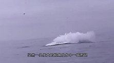 男子划船时，突遇水中“巨兽”袭击，下一秒船毁人亡
