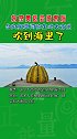 东京奥运会结束后，台风把草间弥生的大南瓜吹到海里了。日本 台风 草间弥生 大南瓜