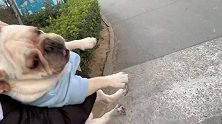 非要和人家下去打架，好像自己多厉害一样！