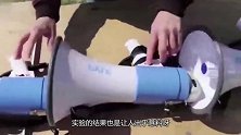 将一百个扩音喇叭并排，玻璃杯会被震碎吗？监控拍下结果
