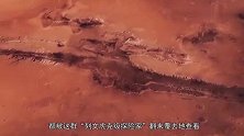 NASA火星车发现大型生物，照片中出现一根腿骨？